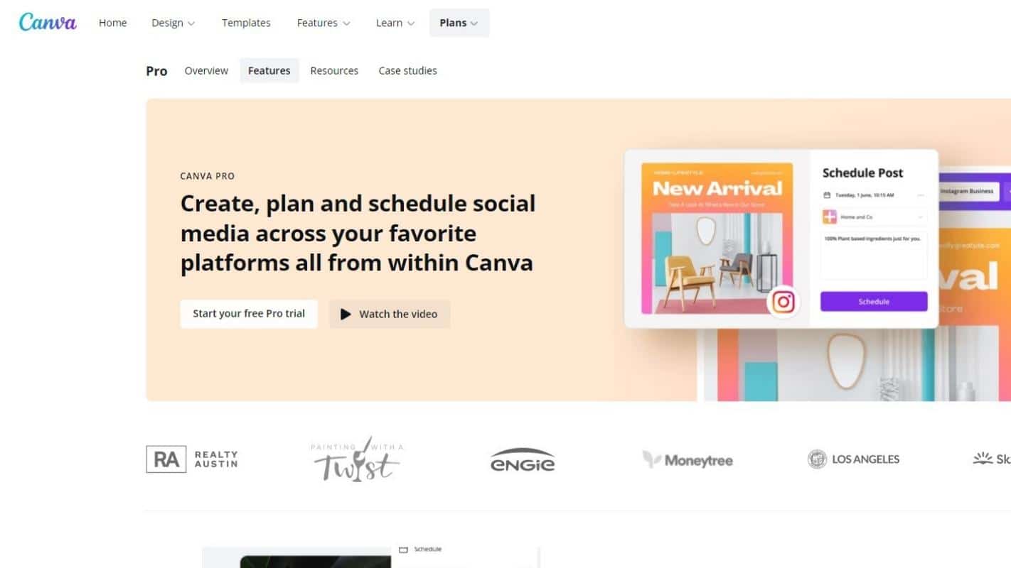 canva pro cost