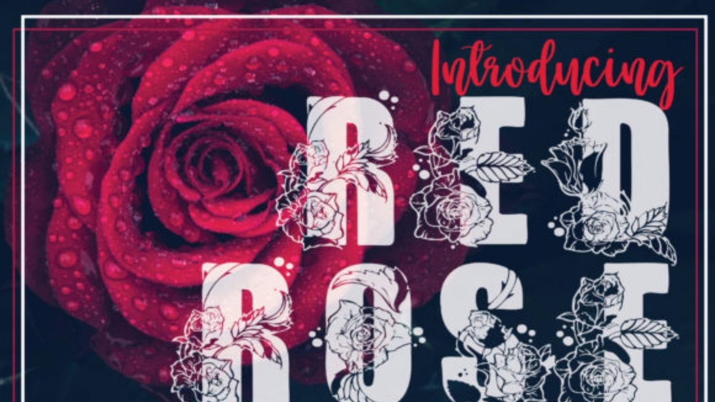 Procreate Font 17 - Red Rose Font