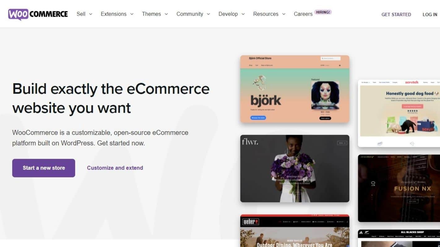 Shopify Competitor - WooCommerce