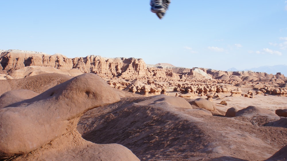 Active Listening Meets Adventure: Jumping for Joy in the US