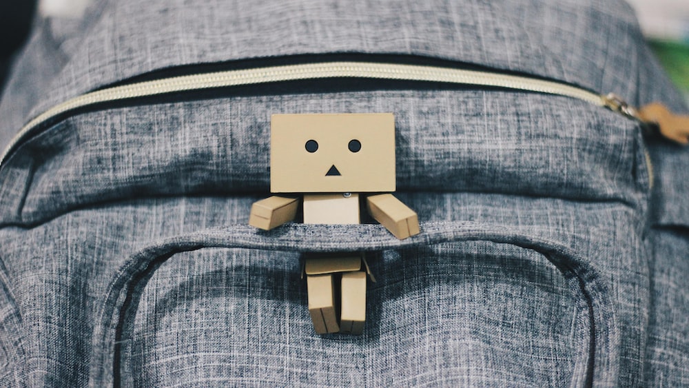 Boosting Emotional Intelligence: Danbo on a Backpack