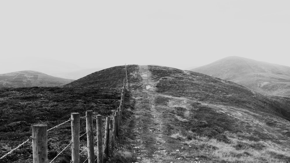 Boundaries on the Mountain: Monochrome Wire Fence