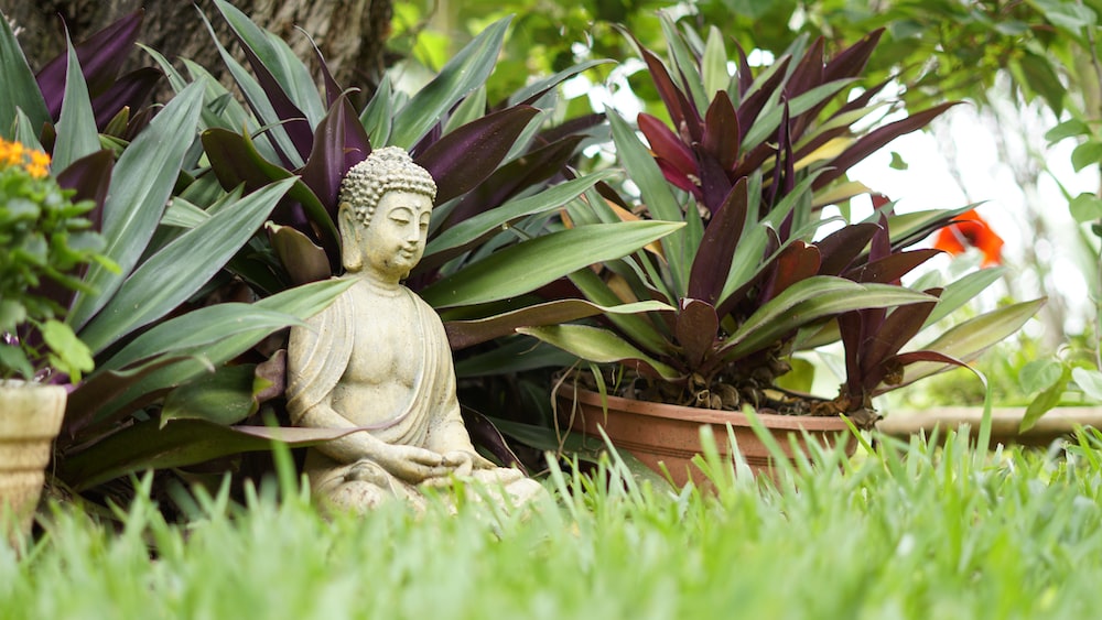 Buddha Statue: A Visual Reminder to Practice Mindfulness