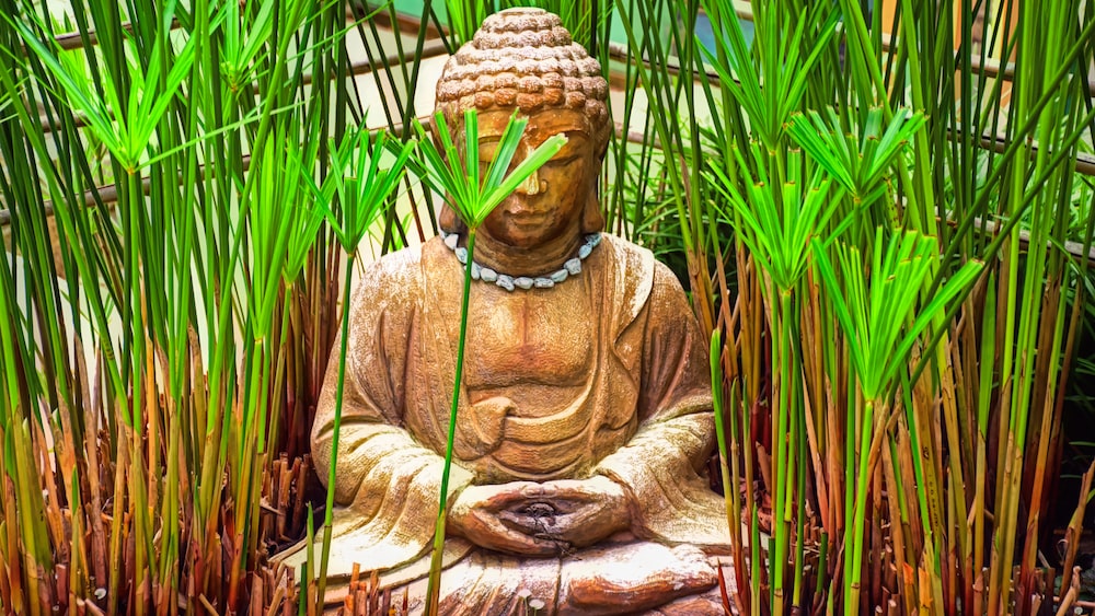 Buddha Statue for Meditation Techniques