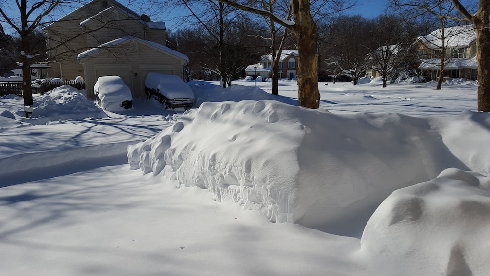 Cars covered in snow after Snowzilla.