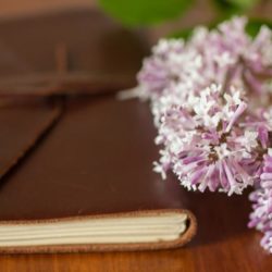 Digital vs Paper Journaling