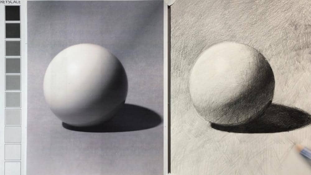 Draw Photorealistic Objects