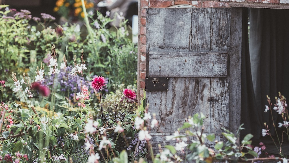 Emotional Intelligence Garden: A Charming Country Cottage with Red Petaled Flowers and a Grey Wooden Door
