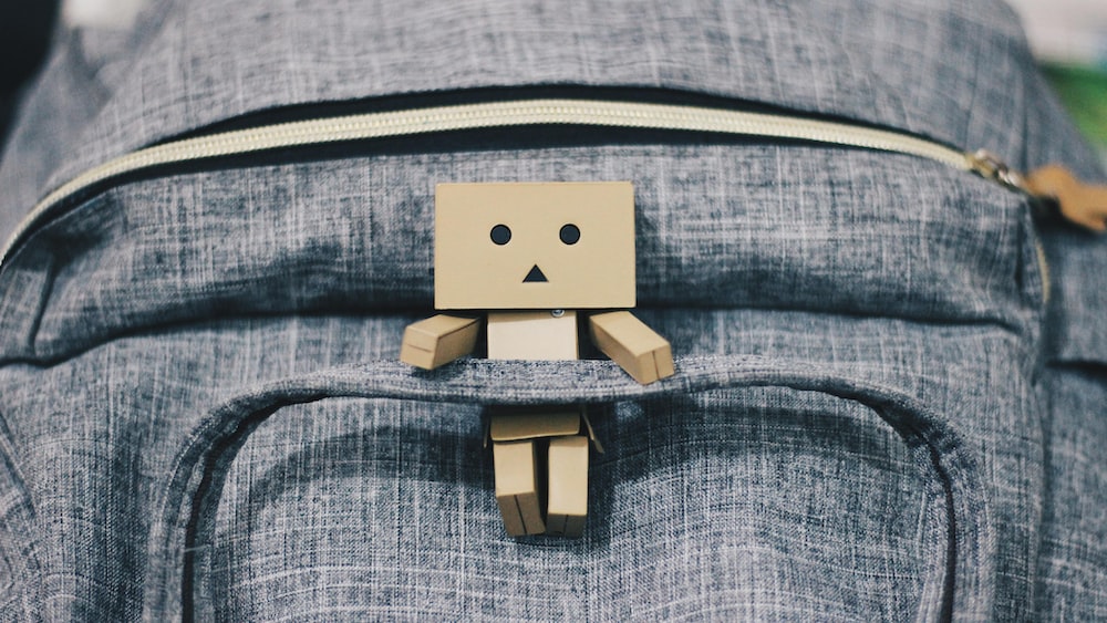 Emotional Intelligence in Action: Danbo on a Backpack