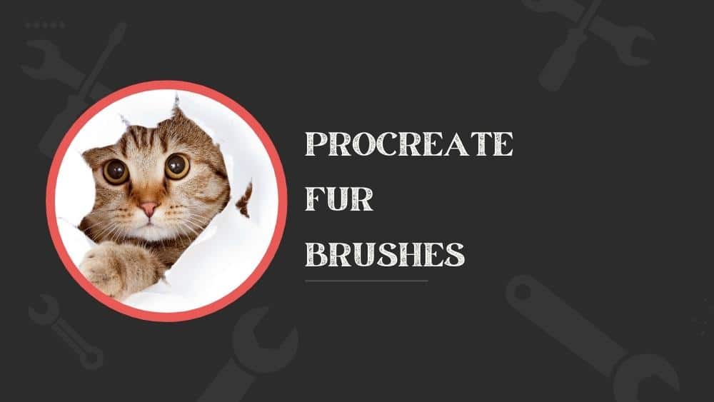 Fur Brush Procreate