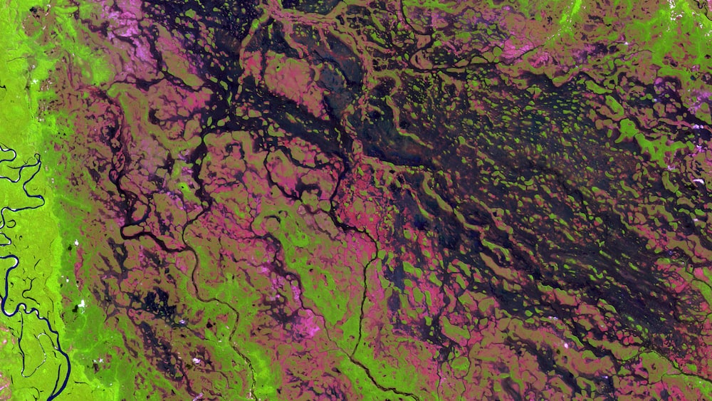 Guided Imagery: Demini River in Northwestern Brazil