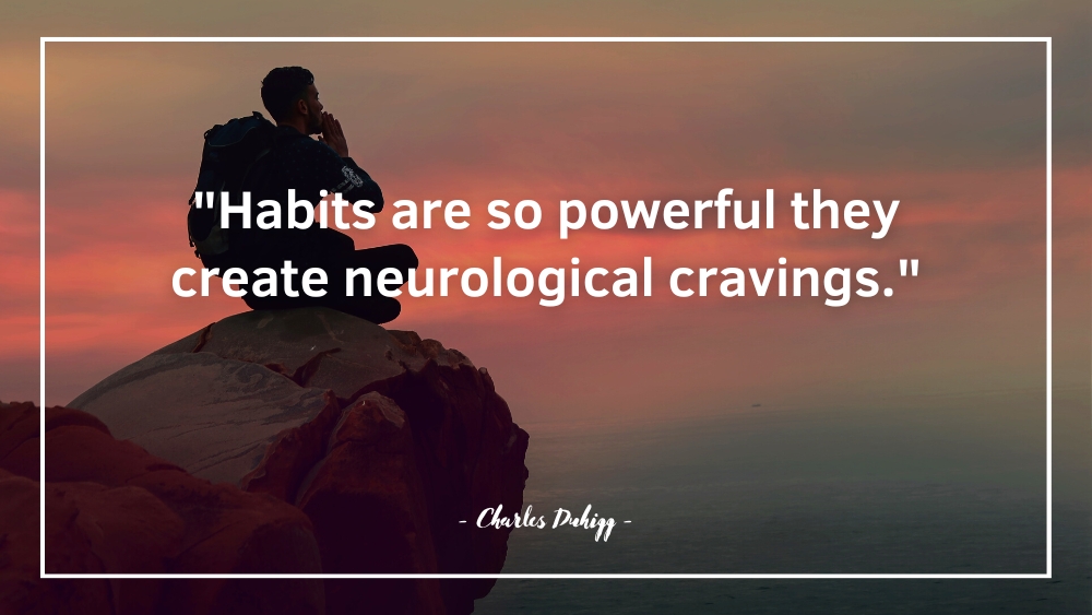 Habits are so powerful they create neurological cravings