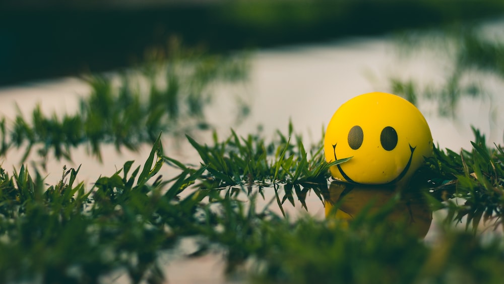 Happy Smiley Ball in Grass