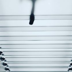 Holding Accountability