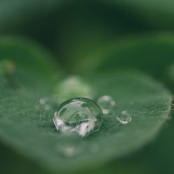 How Does Mindfulness Help Depression