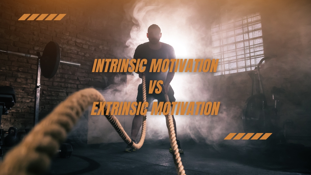Intrinsic Motivation vs Extrinsic Motivation