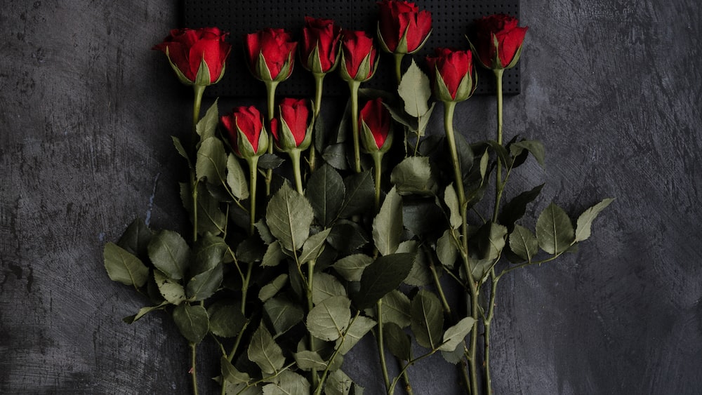 Love Yourself: Red Roses and Self-Esteem