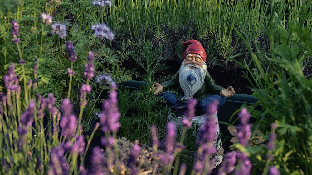 Loving-Kindness Meditation with a Garden Gnome
