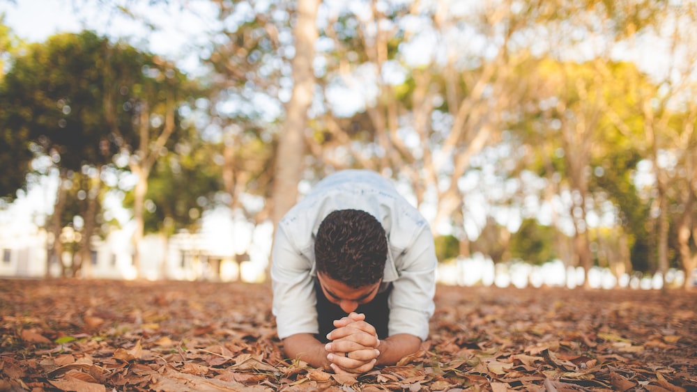 Man practicing self-discipline in a serene Brazilian forest