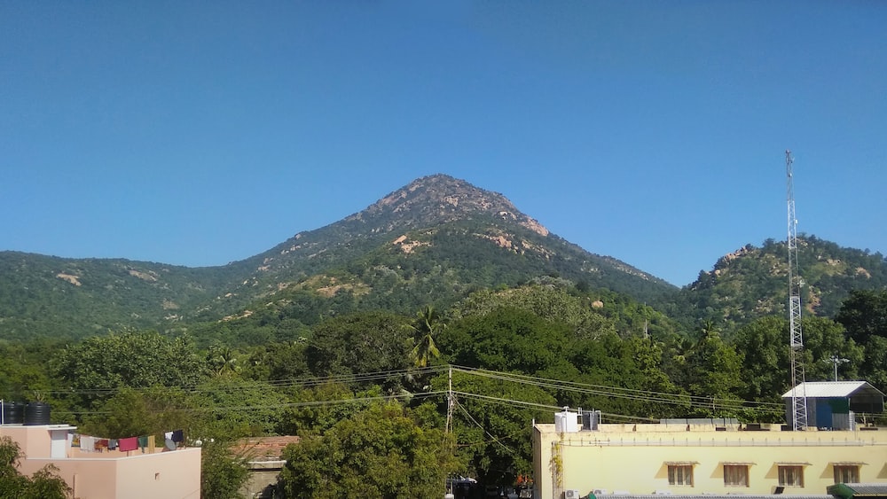 Mantras for Mindful Parenting: A Sacred View from Arunachala Hill