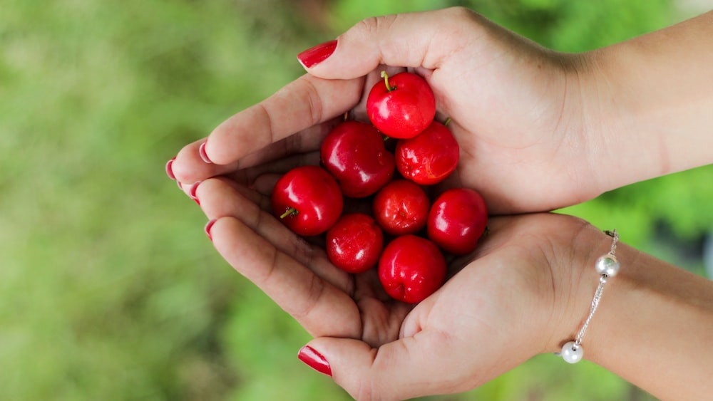 Mindful Eating with Fresh Red Berries