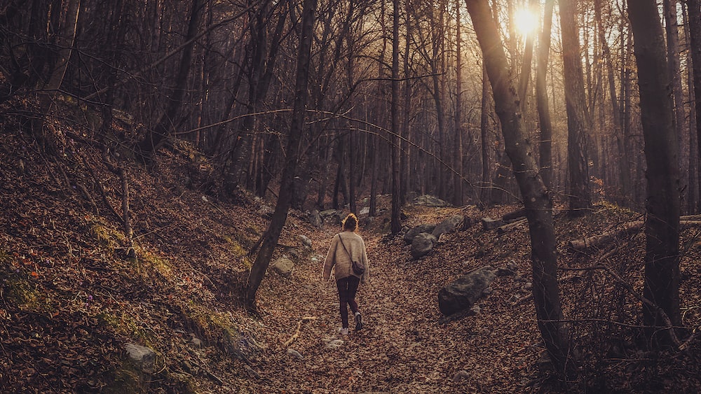 Mindful Walking in the Woods: A Solo Journey