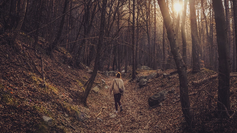 Mindful Walking in the Woods