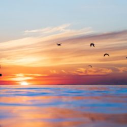 Mindfulness Activities For Middle School