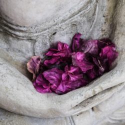 Mindfulness And Resilience