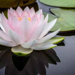 Mindfulness And Spirituality