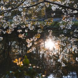 Mindfulness For Creativity