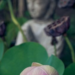 Mindfulness Strategies