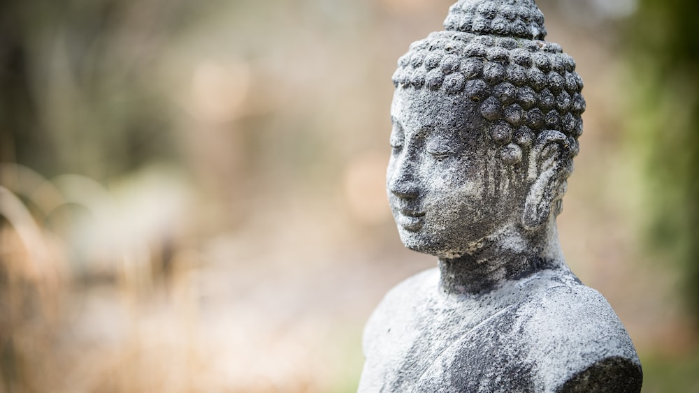 Mindfulness in Nature: Gray Concrete Buddha Statue