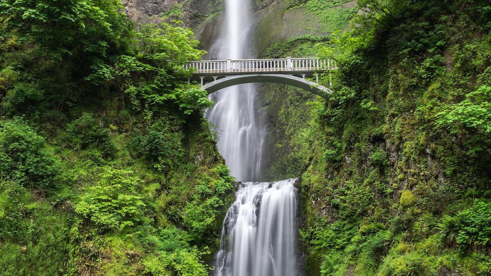Nature Mindfulness