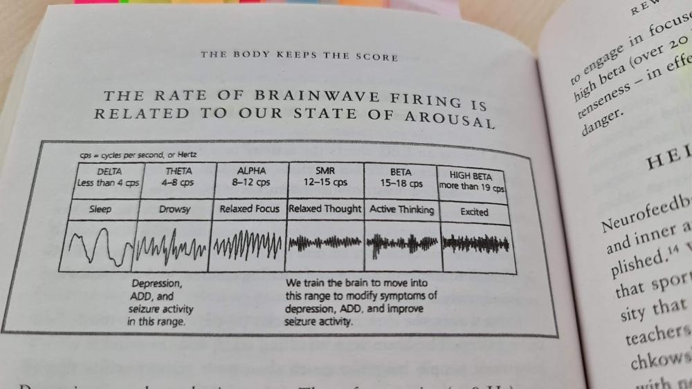 Neurofeedback Rate of Brainwave Explained