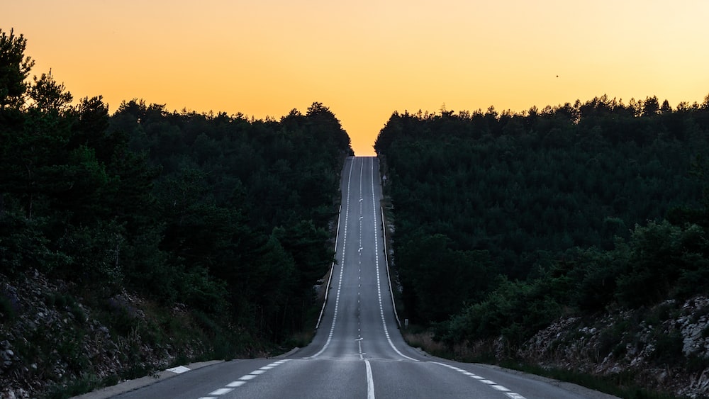 Pathway to Success: Asphalt Road Leading Through Trees