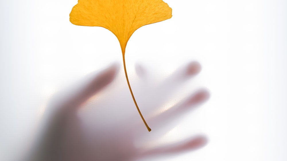 Prioritizing Self-Discipline: Abstract Image of a Hand Holding a Yellow Leaf
