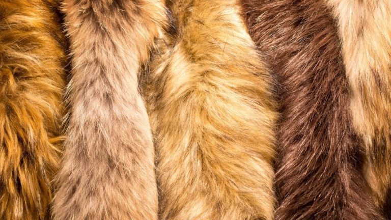 Procreate Fur Brush