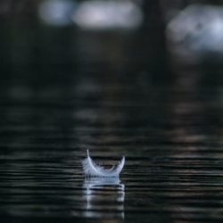 Quiet Confidence