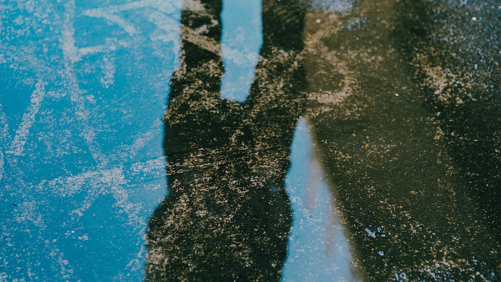 Reflection on Self-awareness: Model Standing by a Shallow Puddle