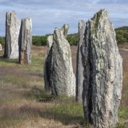 Responsibility Vs Accountability Vs Authority