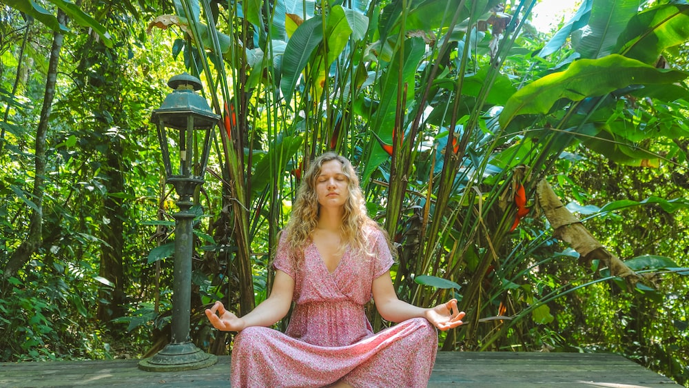 Scarecrow Meditation in the Atlantic Forest