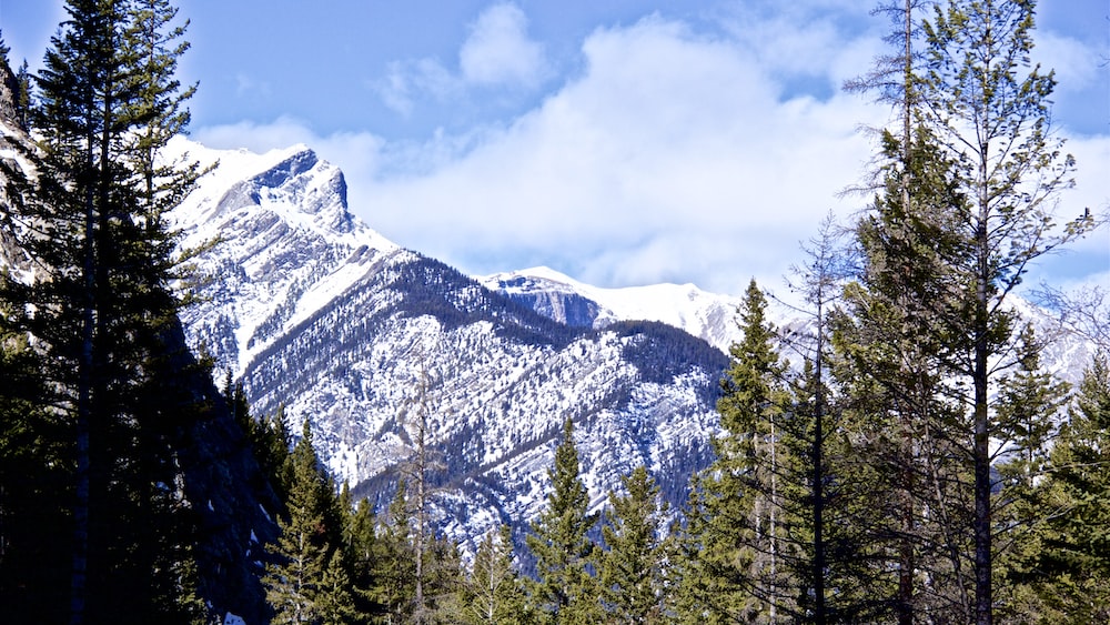 Scenic Nature Hike: Snowy Loder Peak