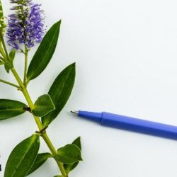 Self Esteem Journal Prompts