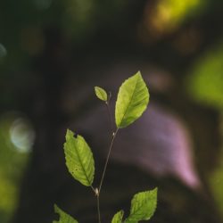 Self Improvement Habits