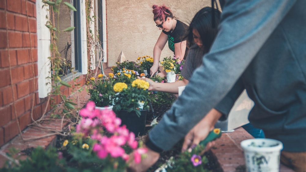 Self Improvement and Self Growth: Mastering Negotiation Skills in Real Estate with Three People Planting Flowers