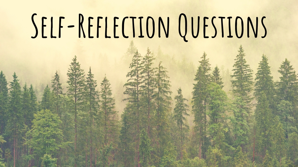 Self Reflection Questions 1