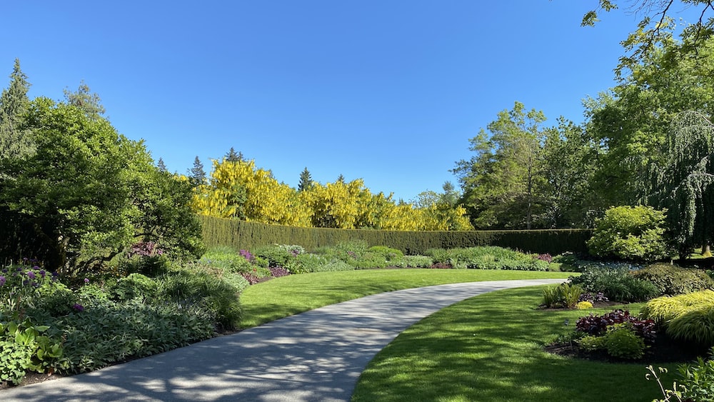 Serene Walking Meditation amidst a Green Grass Field and Trees