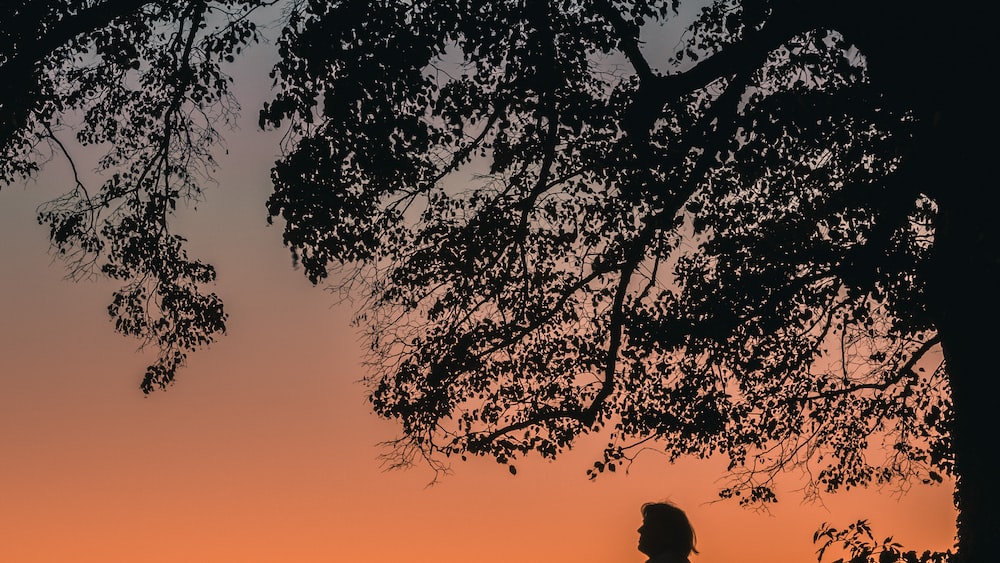 Silhouette of a patient man watching the sunset