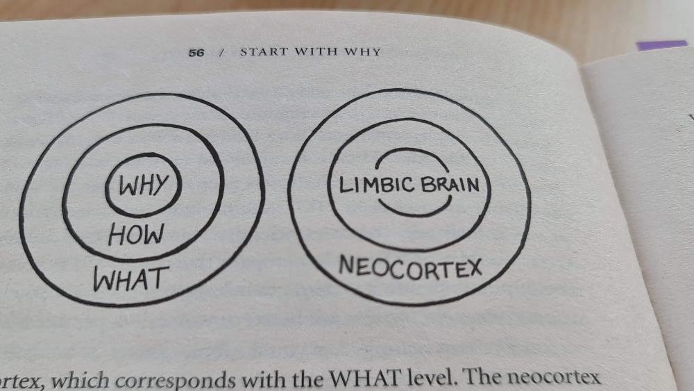 Start With Why Limbic Brain Comparison